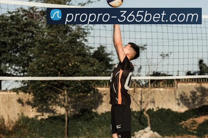 365bet平台生态图